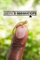 Звери в миниатюре смотреть онлайн (2017)