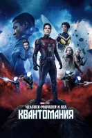 Человек-муравей и Оса: Квантомания смотреть онлайн (2023)